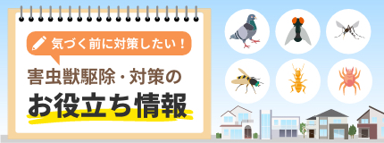 害虫獣駆除・対策のお役立ち情報